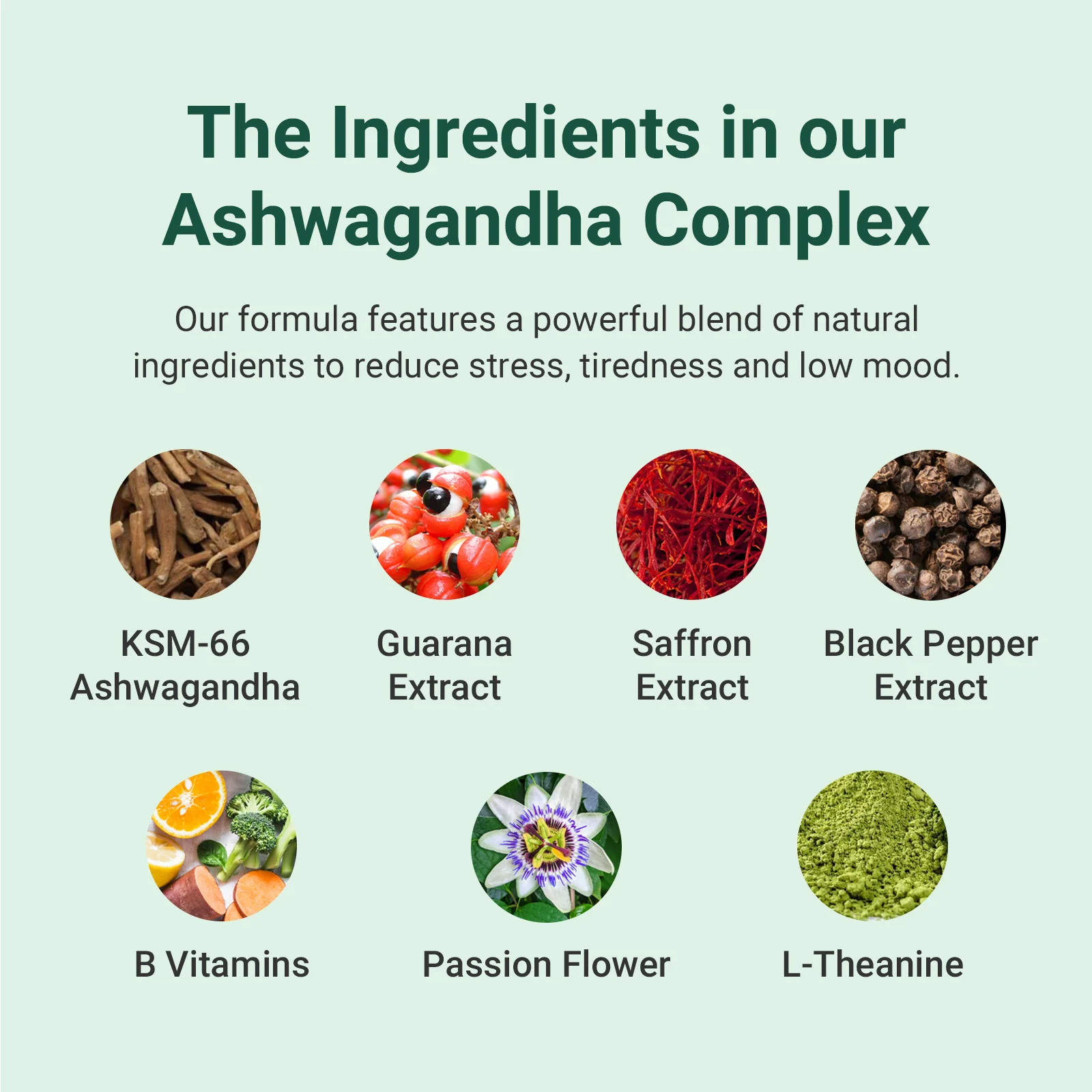Ashwagandha Complex - Image 7