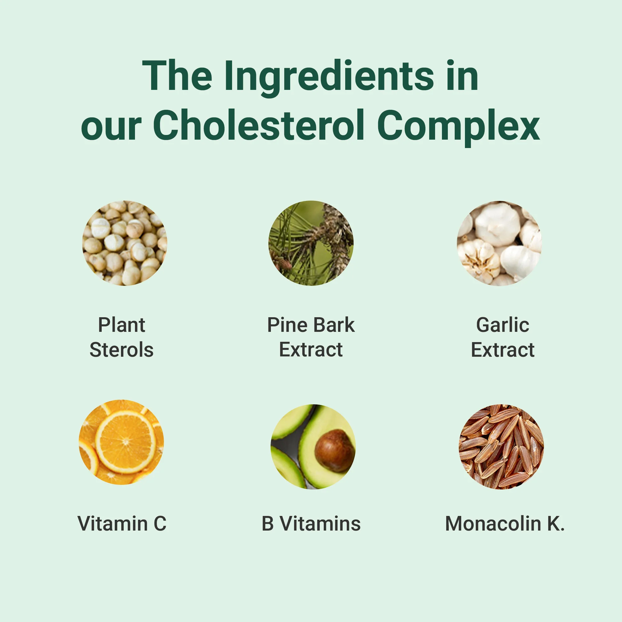 Cholesterol Complex - Image 7