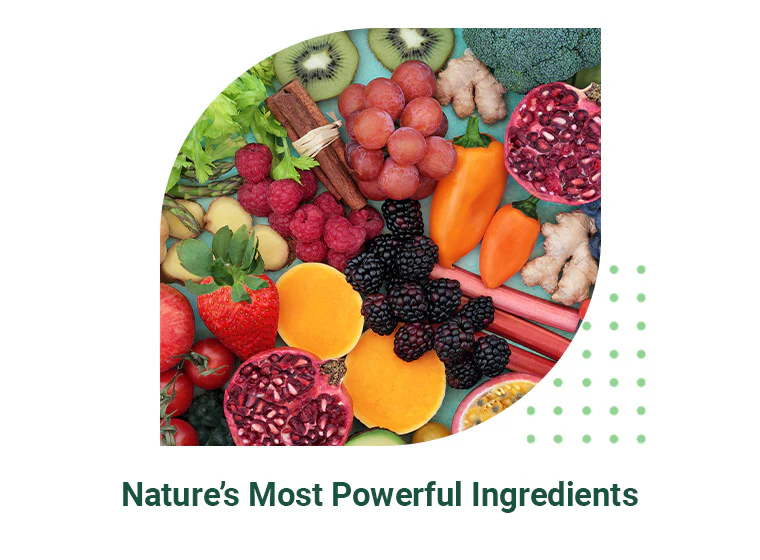 Daily Wellness Bundle - Image 6